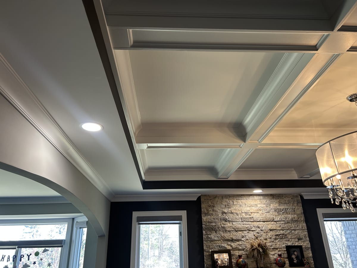 Lighting project photo in Shelby Township