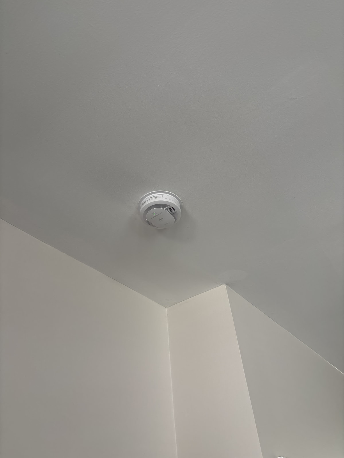 Wiring project photo in Macomb