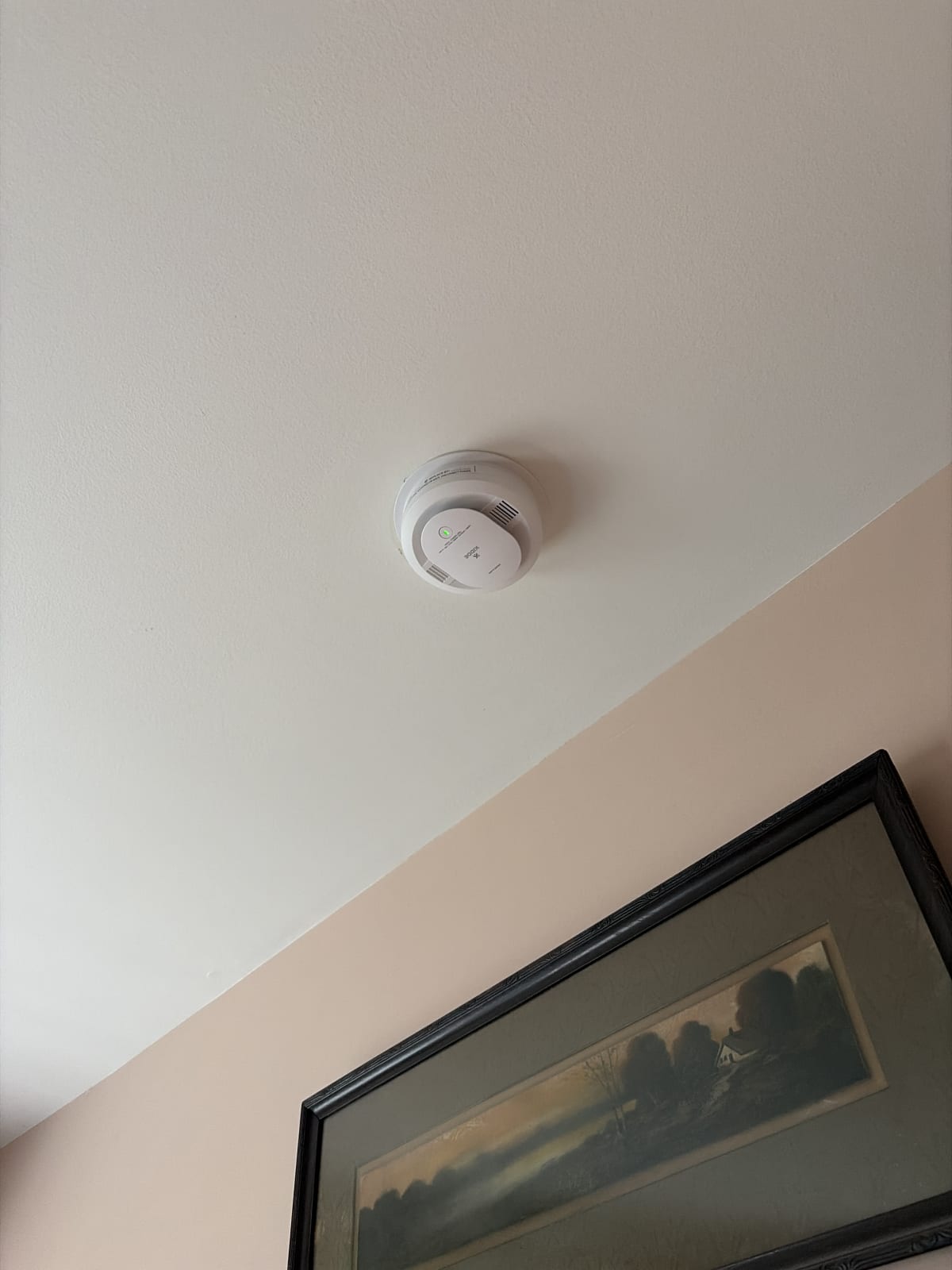 Wiring project photo in Shelby Township