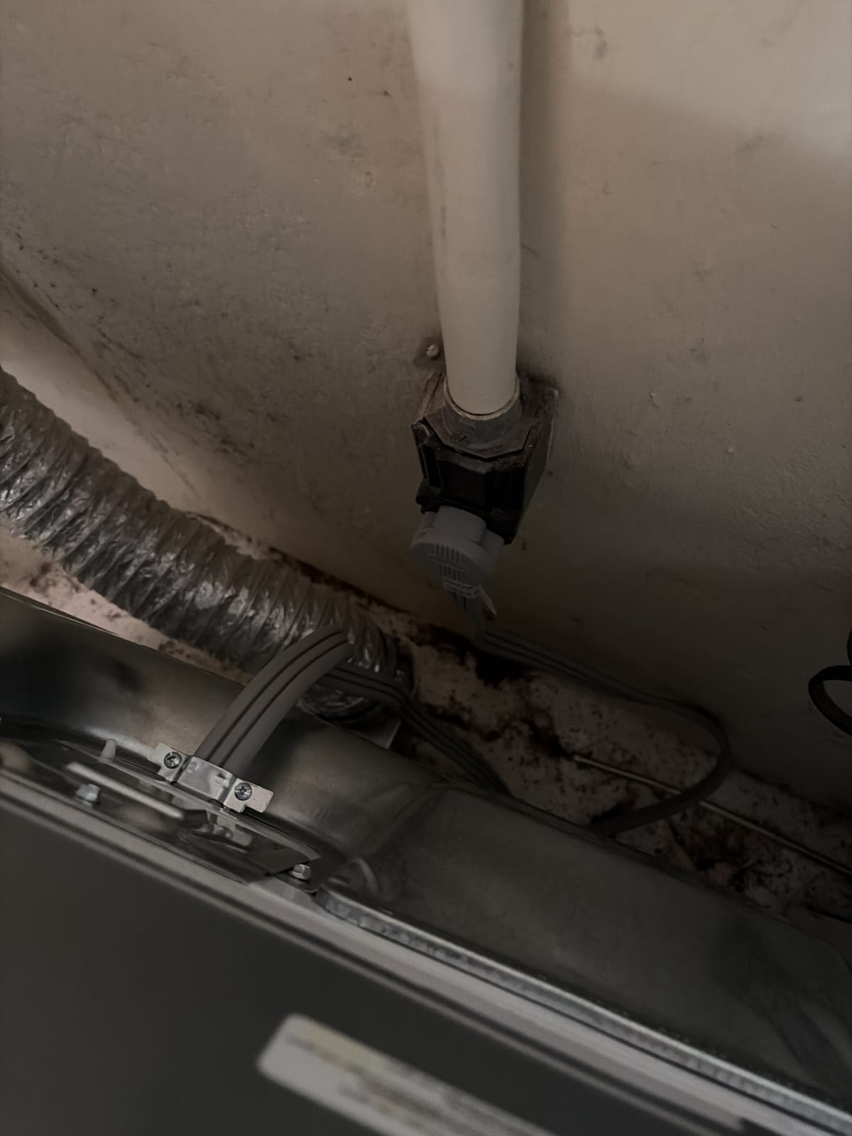 Wiring project photo in Clawson