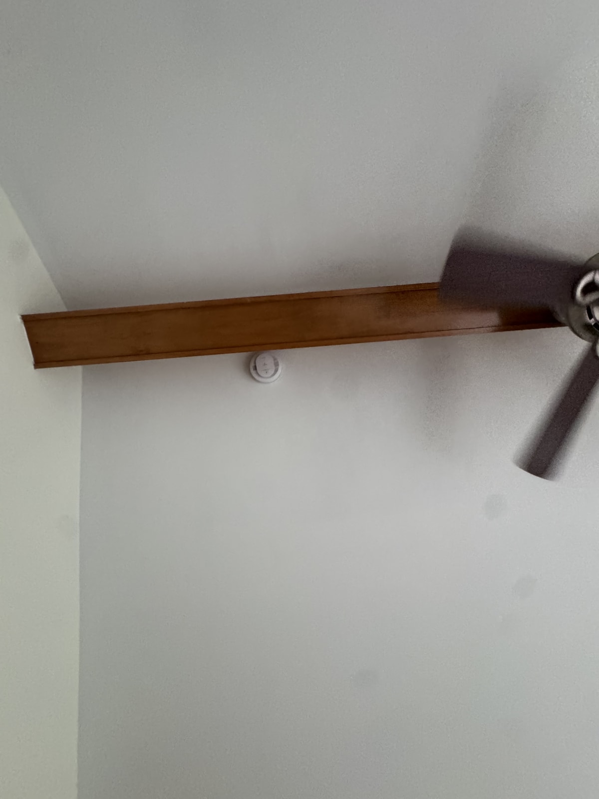 Code Correction project photo in Macomb