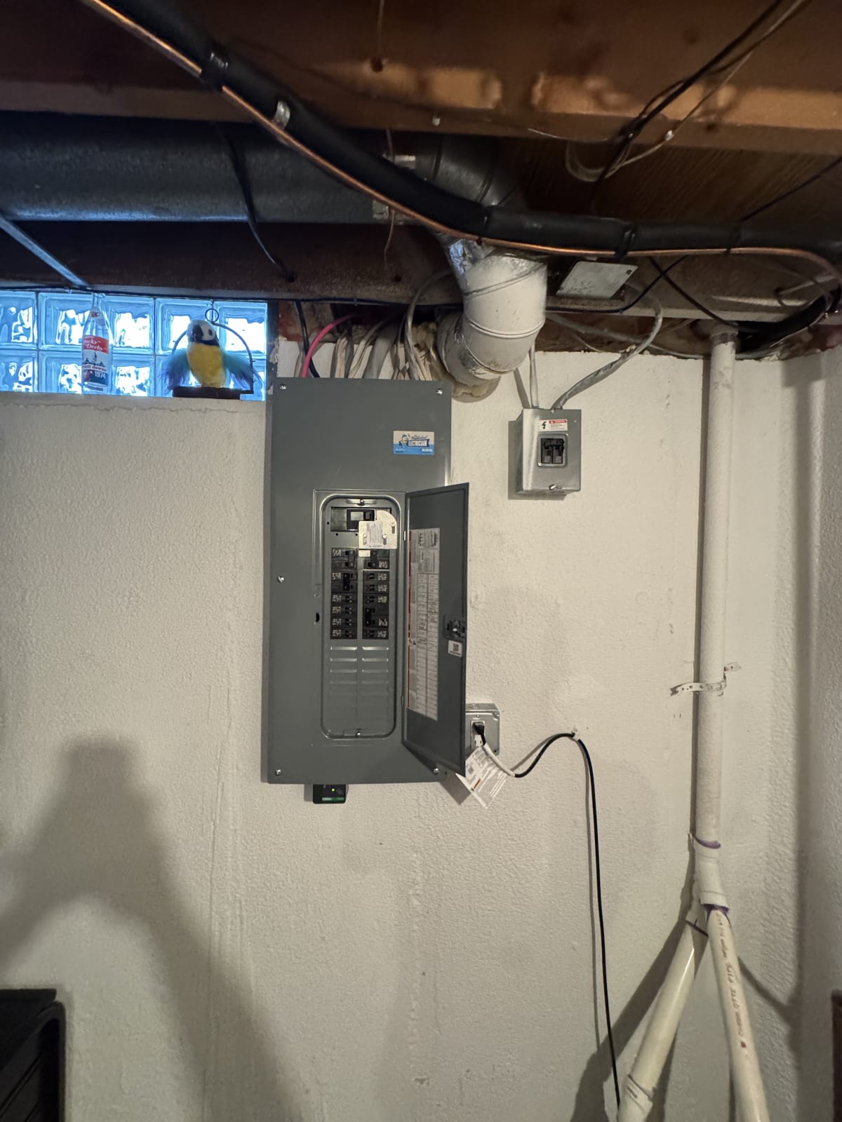 Panel Upgrade project photo in Clinton Township